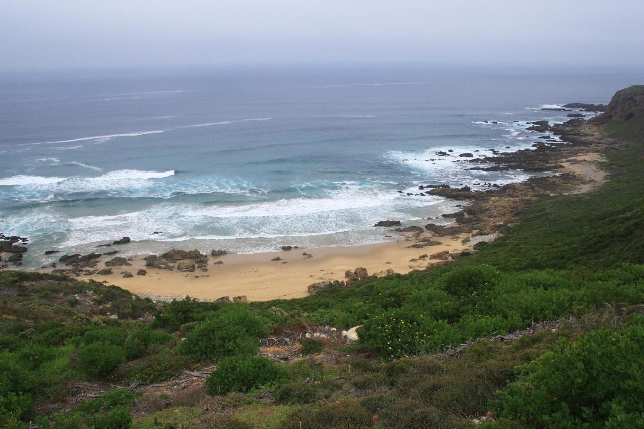 מוסל ביי Pinnacle Point Beach & Golf - Penthouse & Villa מראה חיצוני תמונה